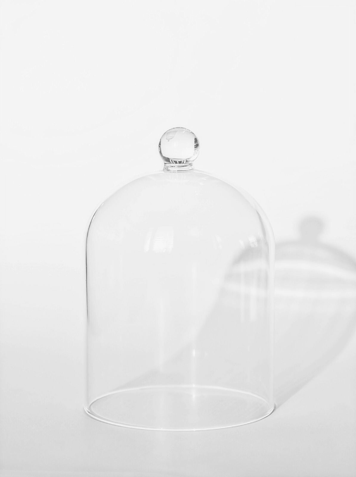 Glass dome