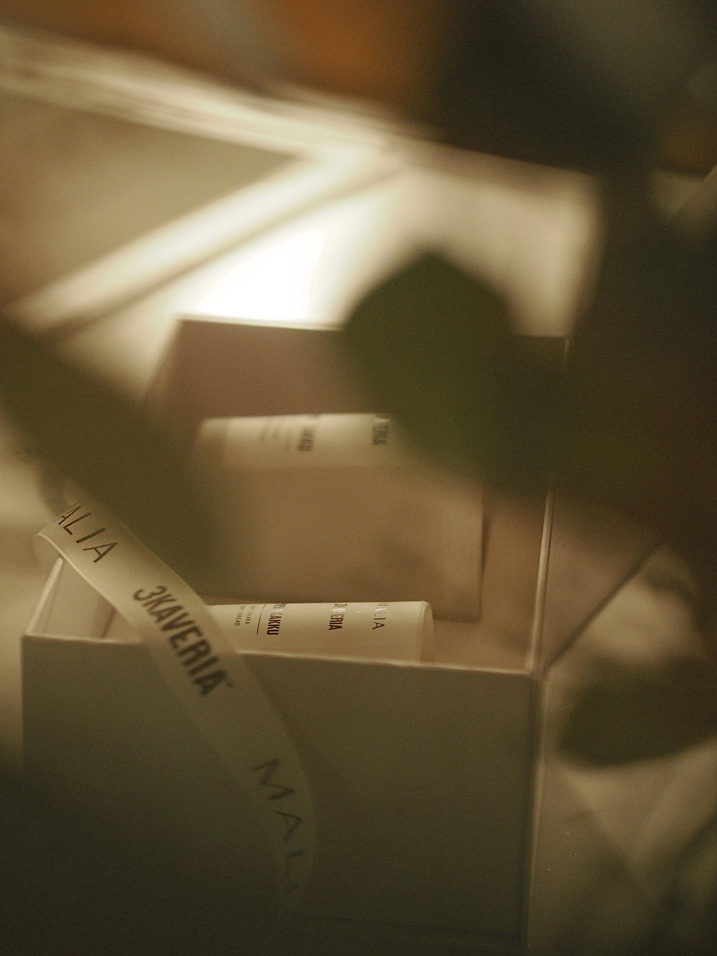 Piparkakku duo 2025 edition