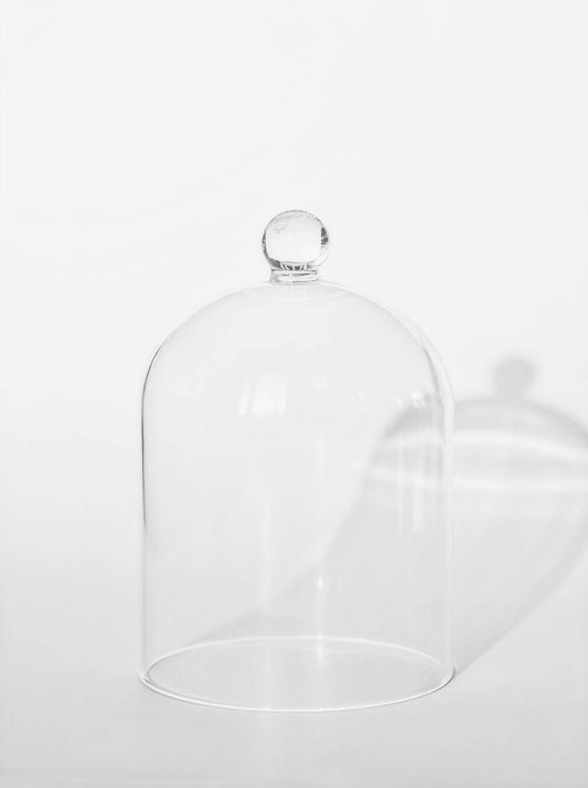 Glass dome